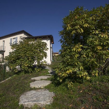 Villa Corbezzolo ลุยโน ภายนอก รูปภาพ